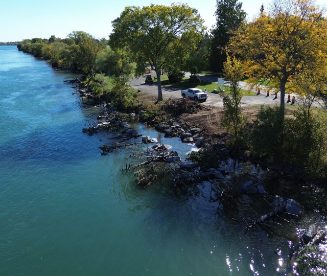 Niagara Parks Coastal Wetland Restoration Project